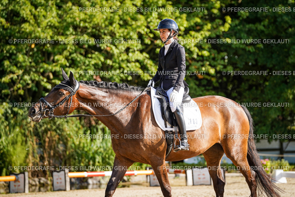 DSC09461 | Pferdegrafie