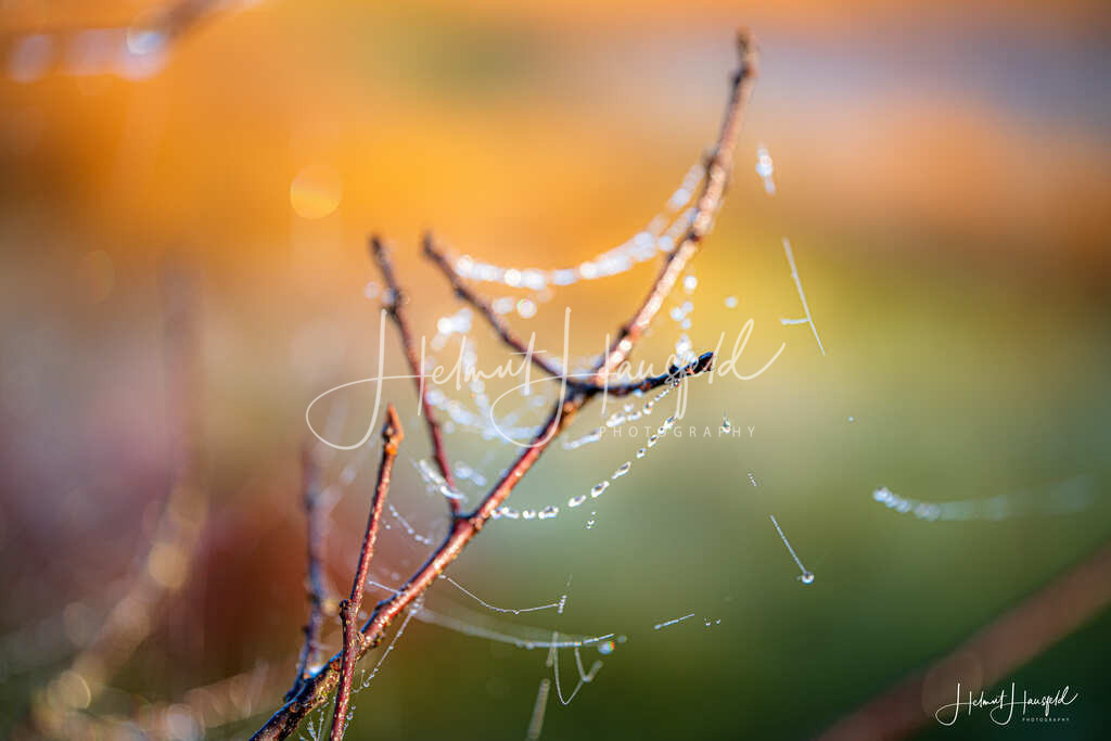 DSC04215-HDR | Landschaftsfotografie, Naturfotografie - Realisiert mit Pictrs.com