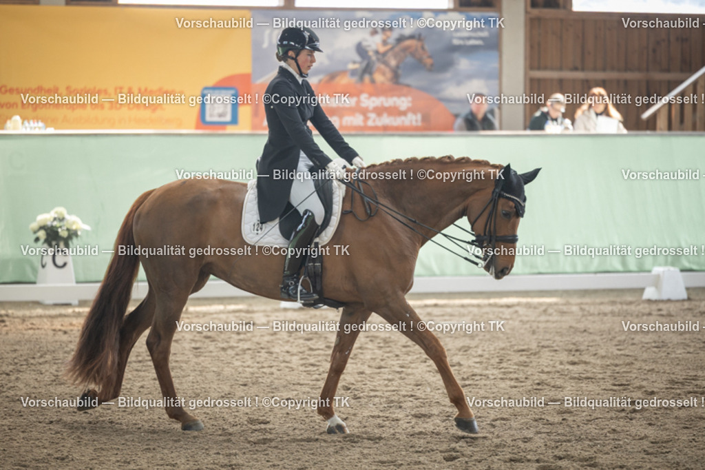 _D5A4581 | Emotionale Pferde- & People-Fotografie rund um Heidelberg, Leimen & Umgebung. Natürliche Fotos von Pferd, Mensch & Familie. Jetzt Termin sichern!