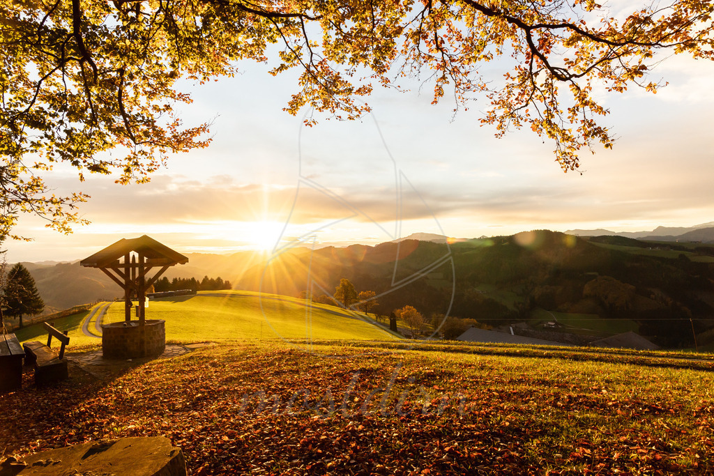 Mostbrunn Mostviertel | Ihre Fotografin im Lungau, ihre Fotografin im Mostviertel, Wandbilder Onlineshop, Imagefotos für Ihr Unternehmen,  - Realisiert mit Pictrs.com