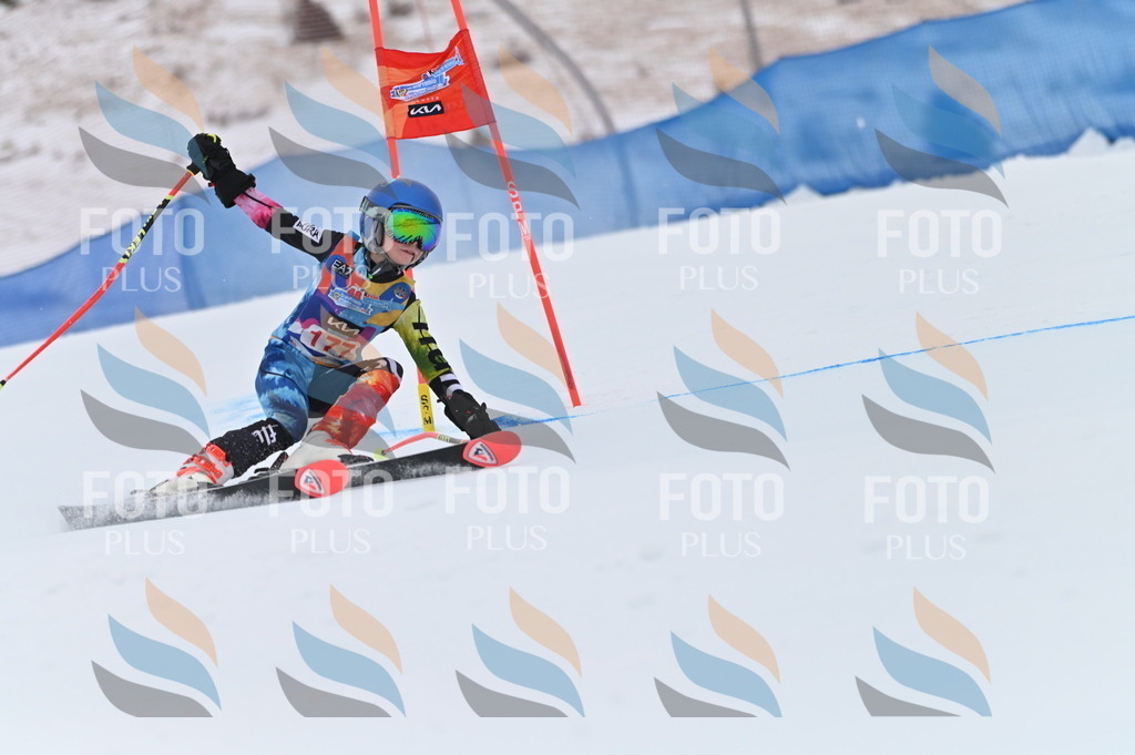 BGV_0946 | holidayphoto