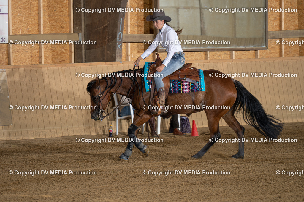 DSC00013 | dv-media-shop - Realisiert mit Pictrs.com