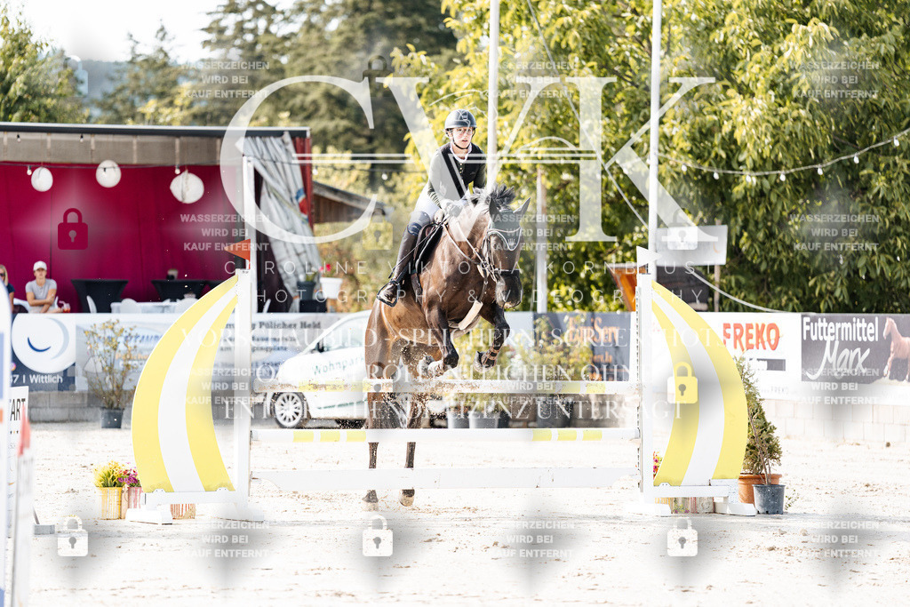 CK905546 | Turnierfotografie Pferdefotografie Trier Rheinland-Pfalz Pferdesport Reitsport Tierfotografie Sportfotografie Pferdevideo Pferdevideografie Equestrianvideography equestrianphotography  - Realisiert mit Pictrs.com