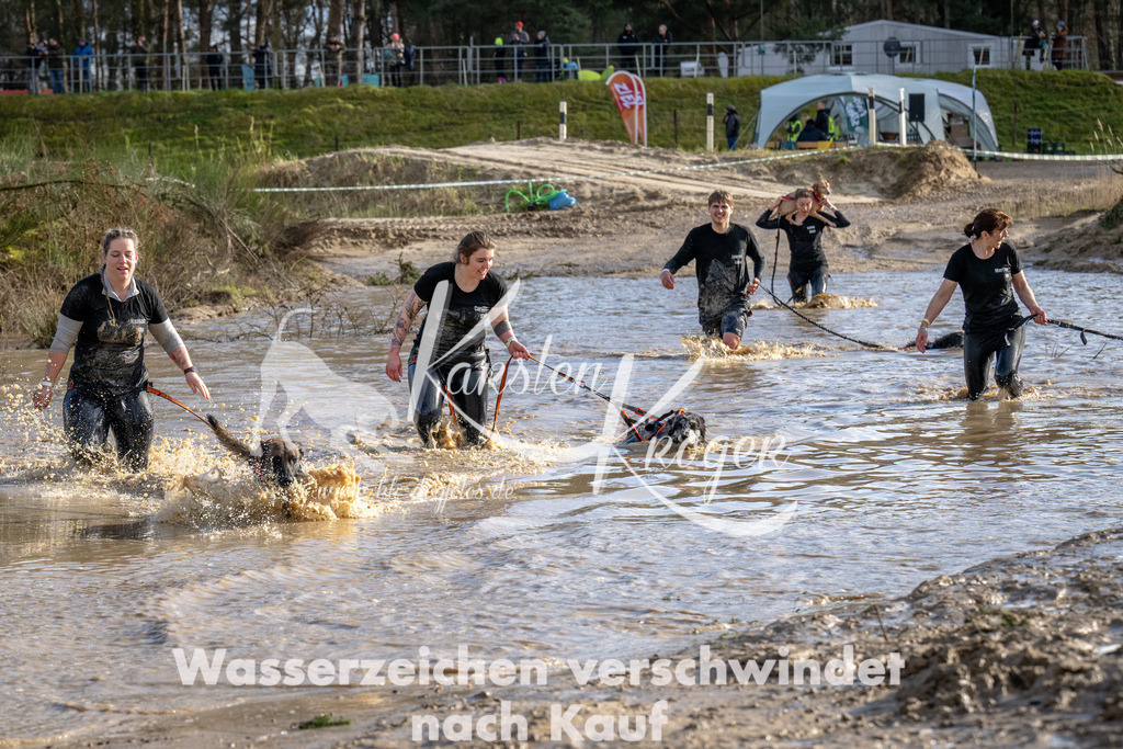 1608_ZZ93486 | kk-dogfotos