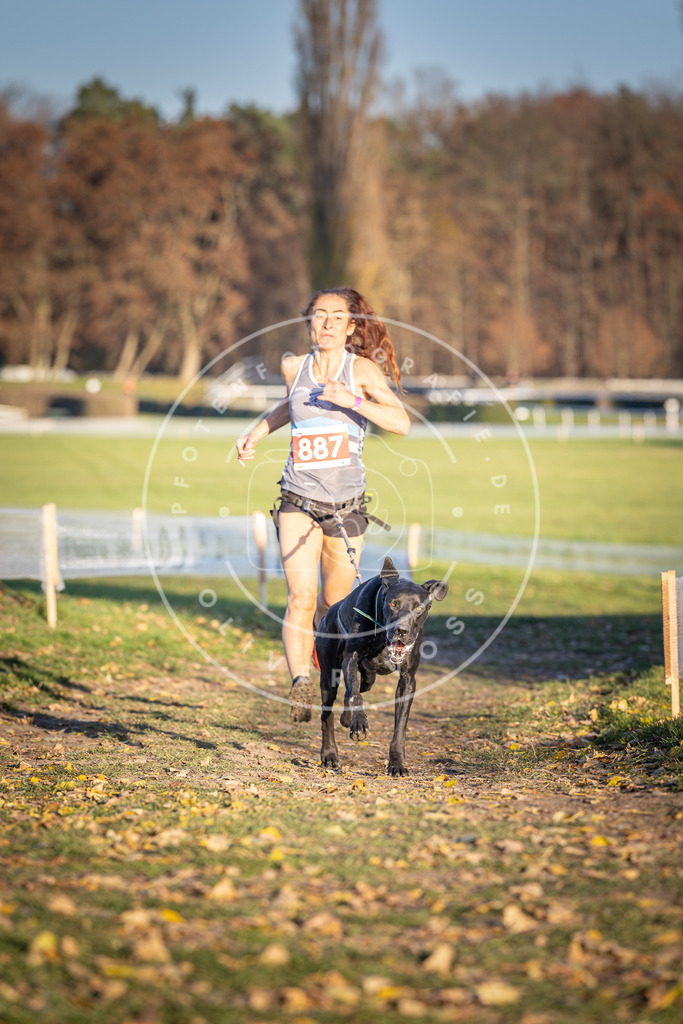 CaniXpix_DV3A4444 | Hundefotografie, Tierfotograf, Pfotenfotografie, Fotoshooting Hund, Hunde Portrait, Hundesport, Hundeportraits, Heideshooting, Hunde, Sportfotograf, Hundefotograf, Turnierhundsport, THS,  - Realisiert mit Pictrs.com