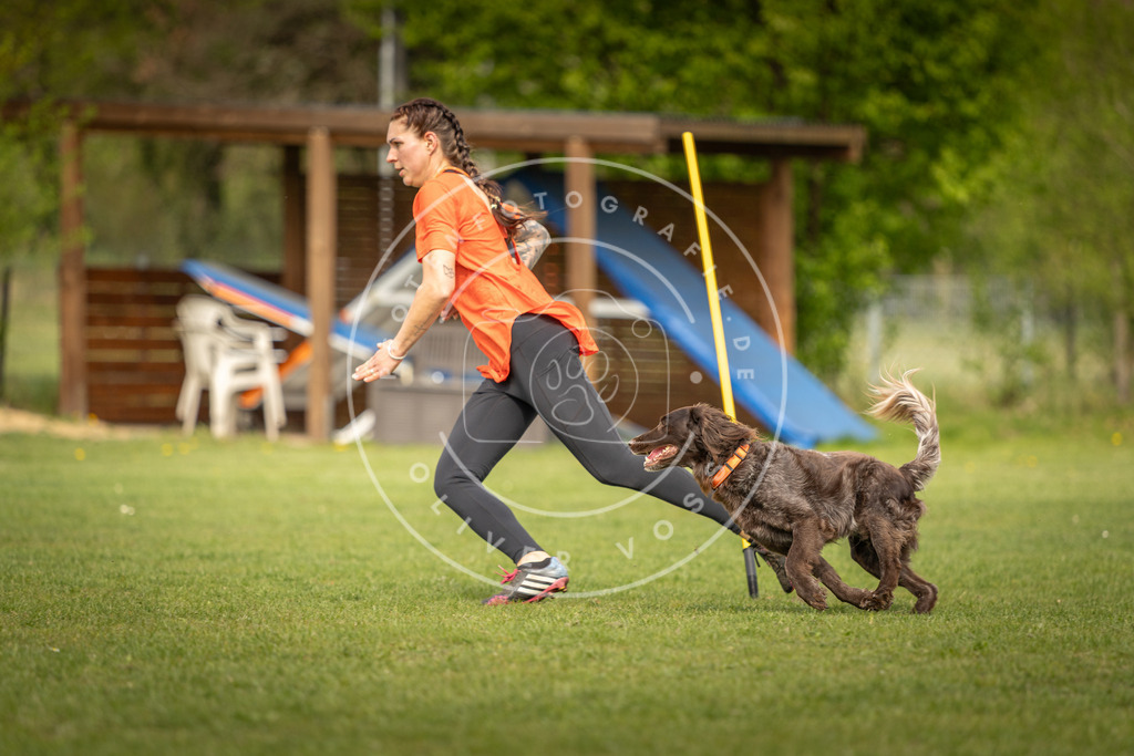 Pfotenfotografie_DV3A5440 | Hundefotografie, Tierfotograf, Pfotenfotografie, Fotoshooting Hund, Hunde Portrait, Hundesport, Hundeportraits, Heideshooting, Hunde, Sportfotograf, Hundefotograf, Turnierhundsport, THS,  - Realisiert mit Pictrs.com