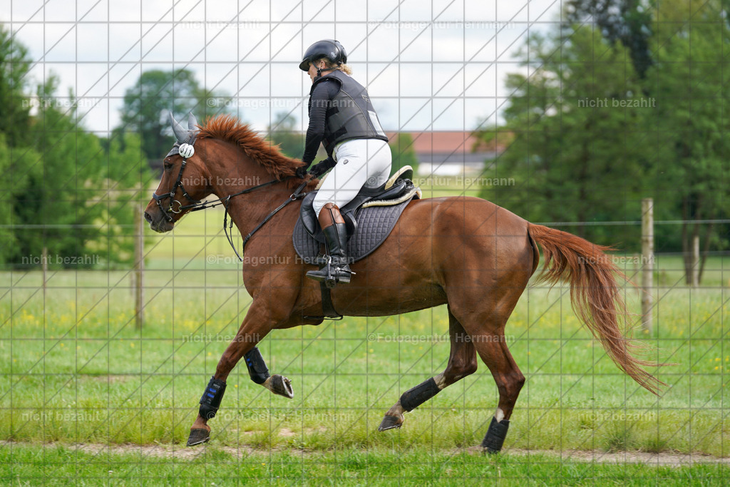 20240518-FAH03927 | Turnierbilder von Niederseon, Turnierfotografen Bayern, Fotoagentur Herrmann, Geländebilder, Reitsportfotografie