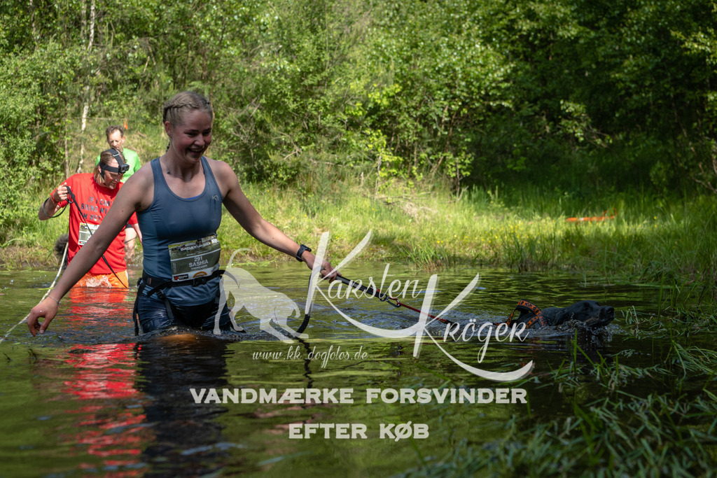 1010DKK994752 | kk-dogfotos