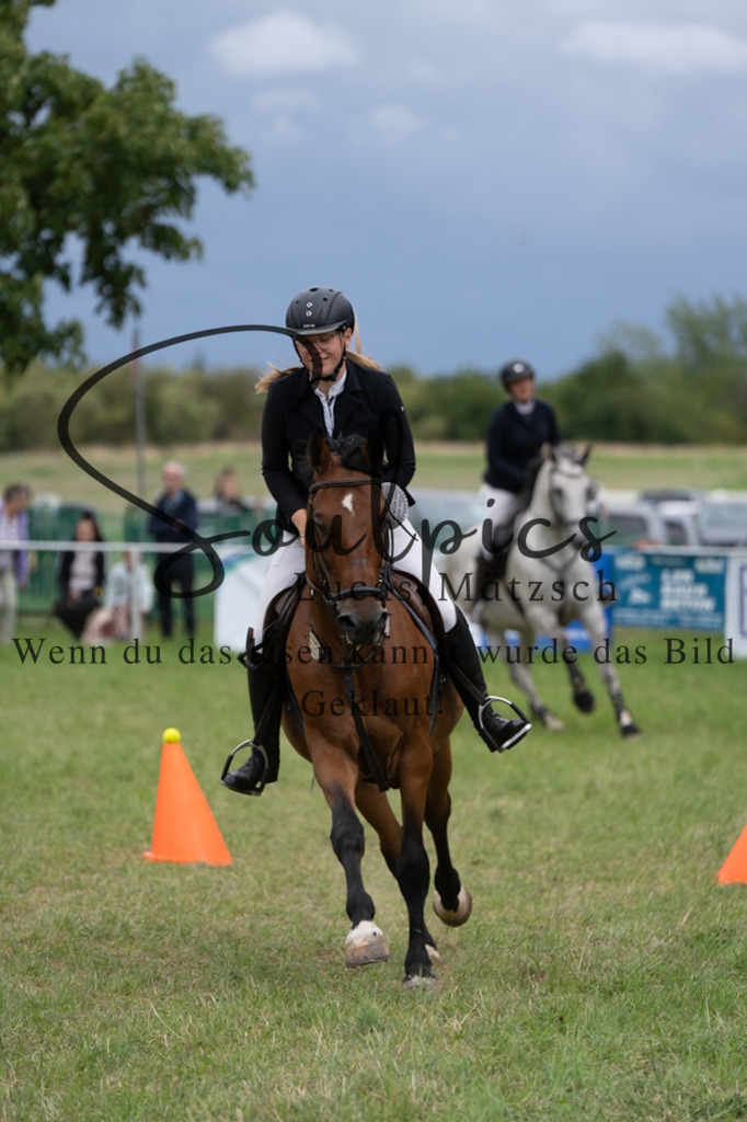 A7V06091 | Pferdefotograf