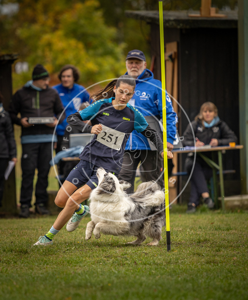 Pfotenfotografie_DV3A6084 | Hundefotografie, Tierfotograf, Pfotenfotografie, Fotoshooting Hund, Hunde Portrait, Hundesport, Hundeportraits, Heideshooting, Hunde, Sportfotograf, Hundefotograf, Turnierhundsport, THS,  - Realisiert mit Pictrs.com
