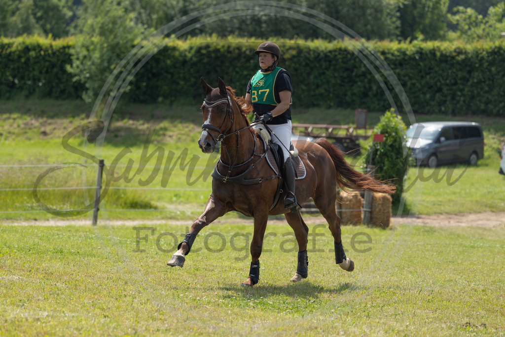994A0786 | sabrinanicolaifotografie - Realisiert mit Pictrs.com