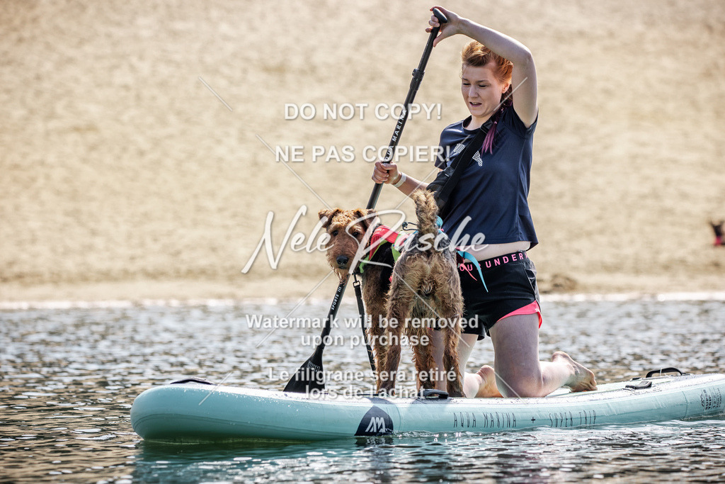 BUHU_SUP_366 | nelerasche