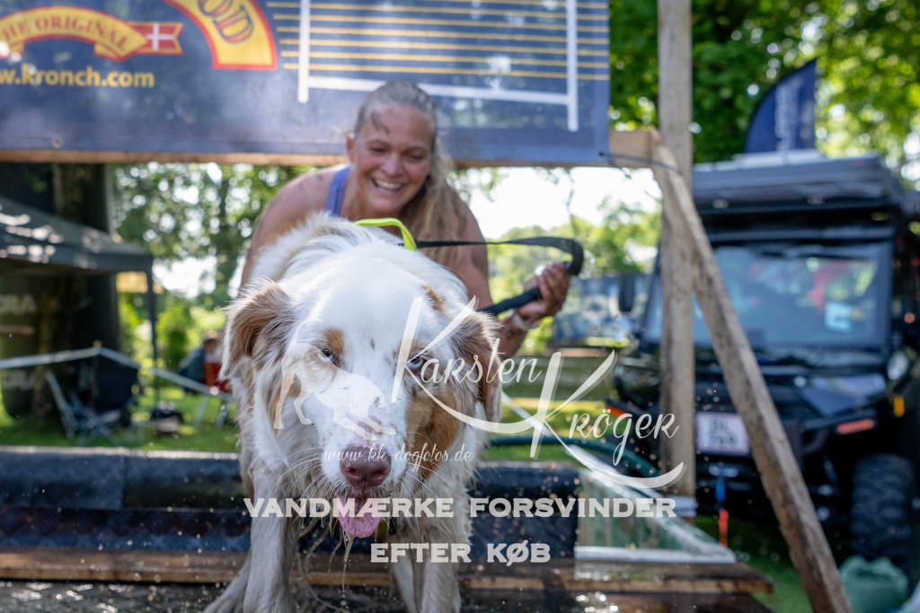 1526_ZZ91321 | kk-dogfotos