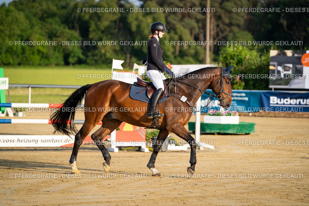 DSC01742 | Pferdegrafie