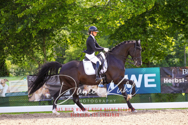 DKP41133 | Turnierfotos kaufen im Webshop von Daniel Kuhl Photography – entdecke professionelle Reitsportfotos aus Turnieren & Events. Hochwertige Turnierbilder online bestellen & sichern. Jetzt Fotos von Reitsportturnieren kaufen!