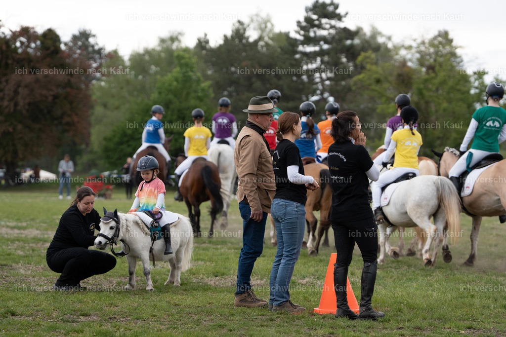 PI26_show_Jan_Picutures7C_06935.jpg | working equitationturnier fotograf videograf stoibphotography marixx film working equitation deutschland reitsport turnierfotografie eventfotografie equestrian events