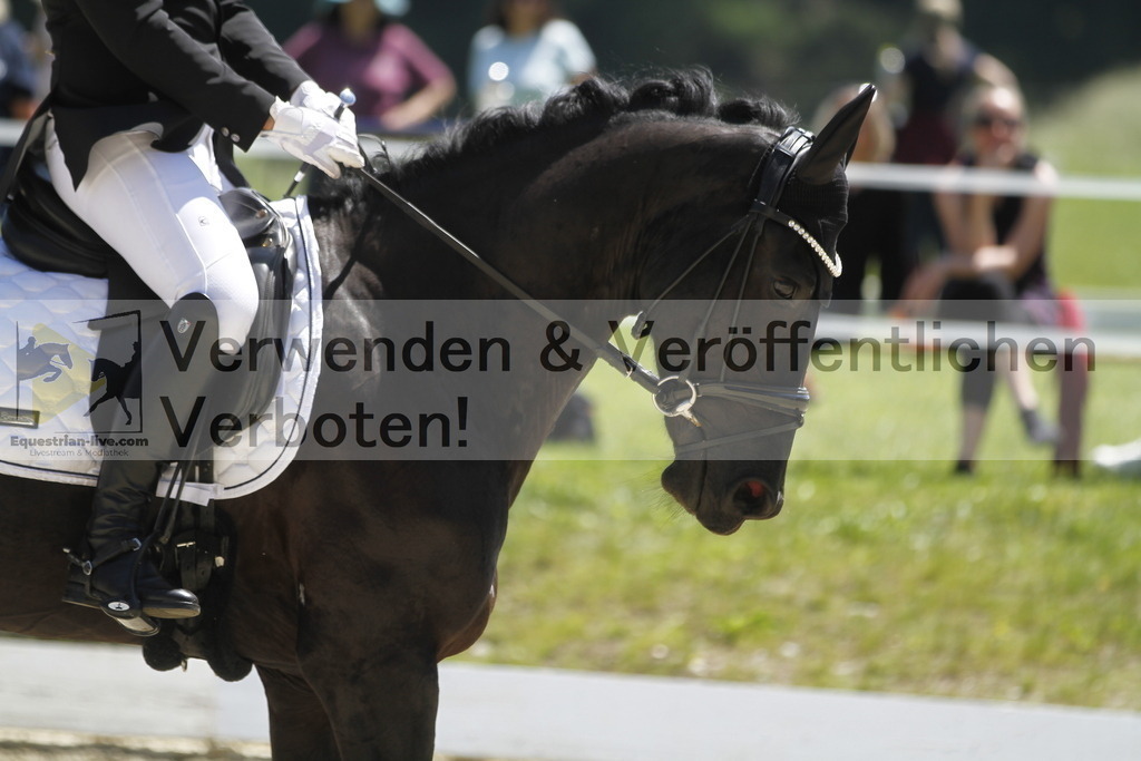 _MG_6760 | equestrian-live-com