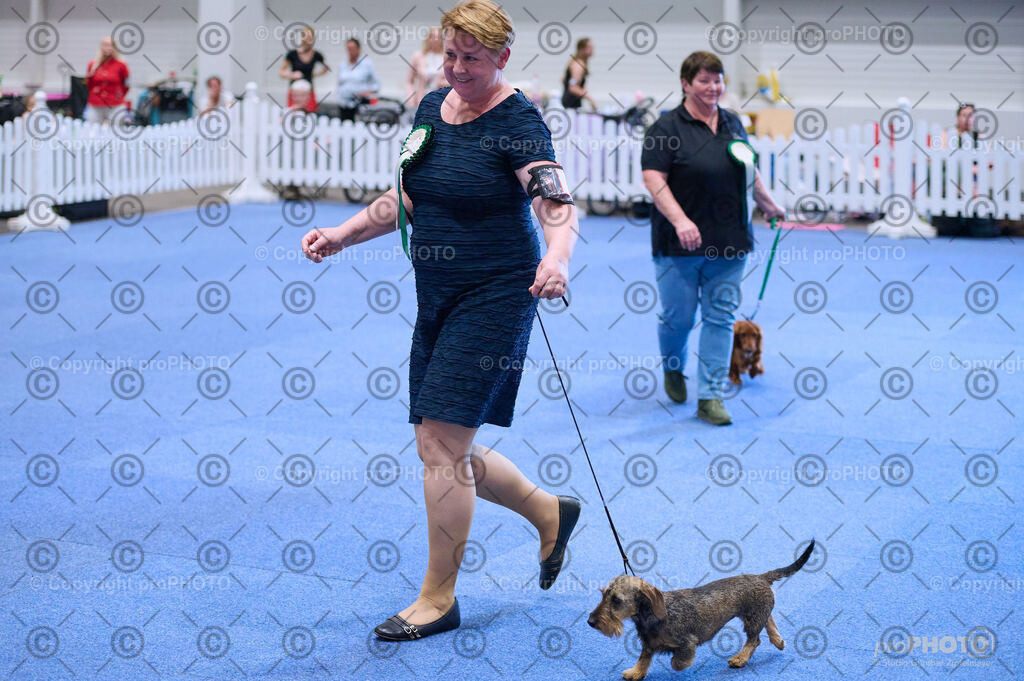 202406_ÖKV-IHA-Tulln24_DSC_3909 | proPHOTO - Realisiert mit Pictrs.com