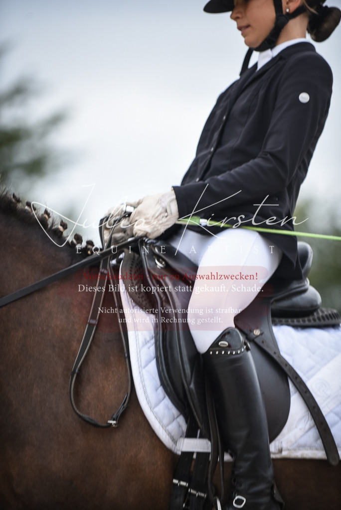 DSC_8122 | Pferde- und Turnierfotografie in Westsachsen. Pferdeportraits, Auftragszeichnungen und intuitive Kunst.