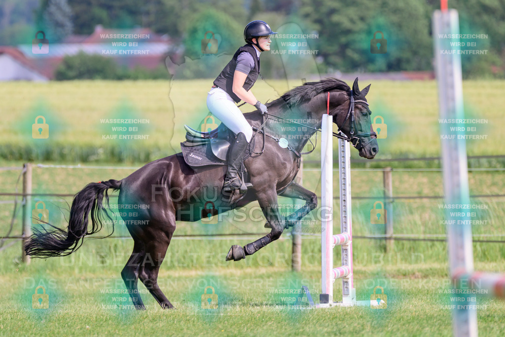 30052026-Forstinning-Prfg20-0013 | Fokus Hufschlag Fotografie - Realisiert mit Pictrs.com
