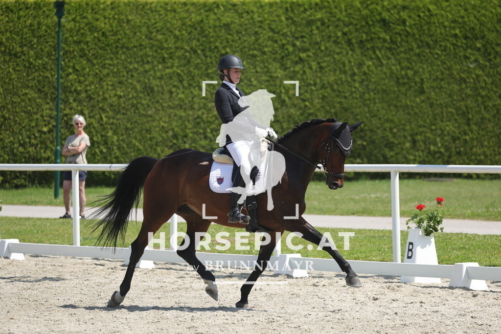 0P6A2458 | Willkommen bei Brunnmayr - Design & Fotografie – Ihrem Spezialisten für Reitturniere und Pferdeveranstaltungen in Oberösterreich, Salzburg und Bayern! Seit über 17 Jahren sind wir leidenschaftlich dabei.