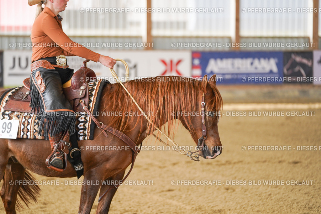 DSC02875 | Pferdegrafie