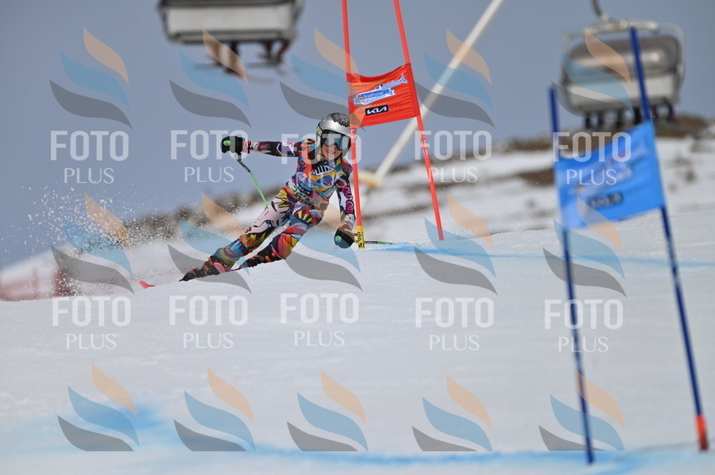 BGV_5207 | holidayphoto