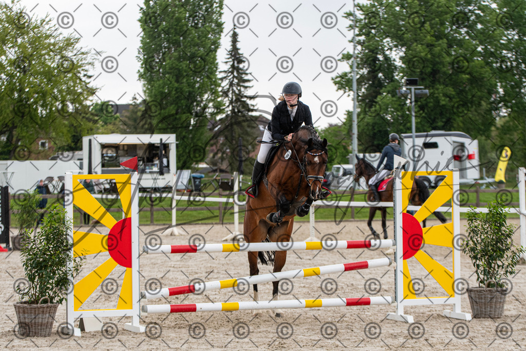 KPT_7563 | andre_photographic