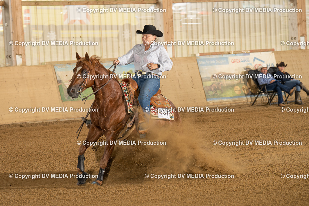 LAU01816 | dv-media-shop - Realisiert mit Pictrs.com