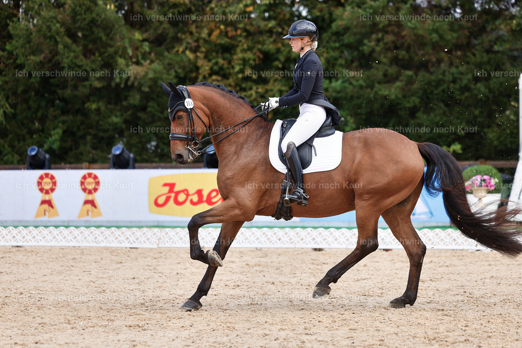 07-189-DRESSUR  S___  -StoibPH-5058 | working equitationturnier fotograf videograf stoibphotography marixx film working equitation deutschland reitsport turnierfotografie eventfotografie equestrian events