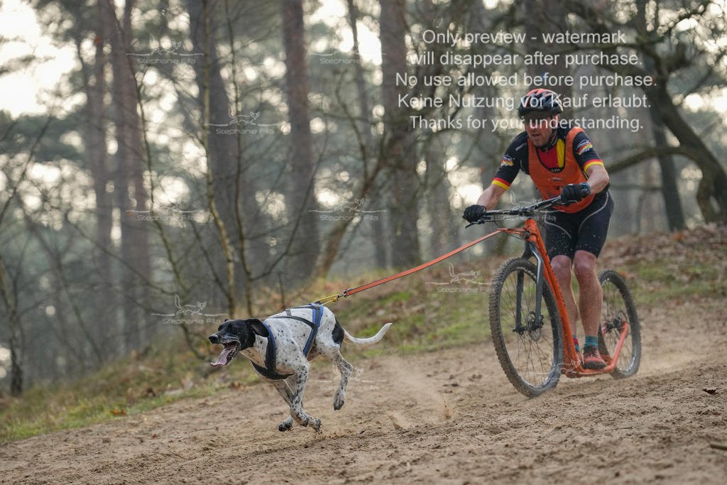 Scooter1-161 | stephaniefillaphotographie - Realisiert mit Pictrs.com