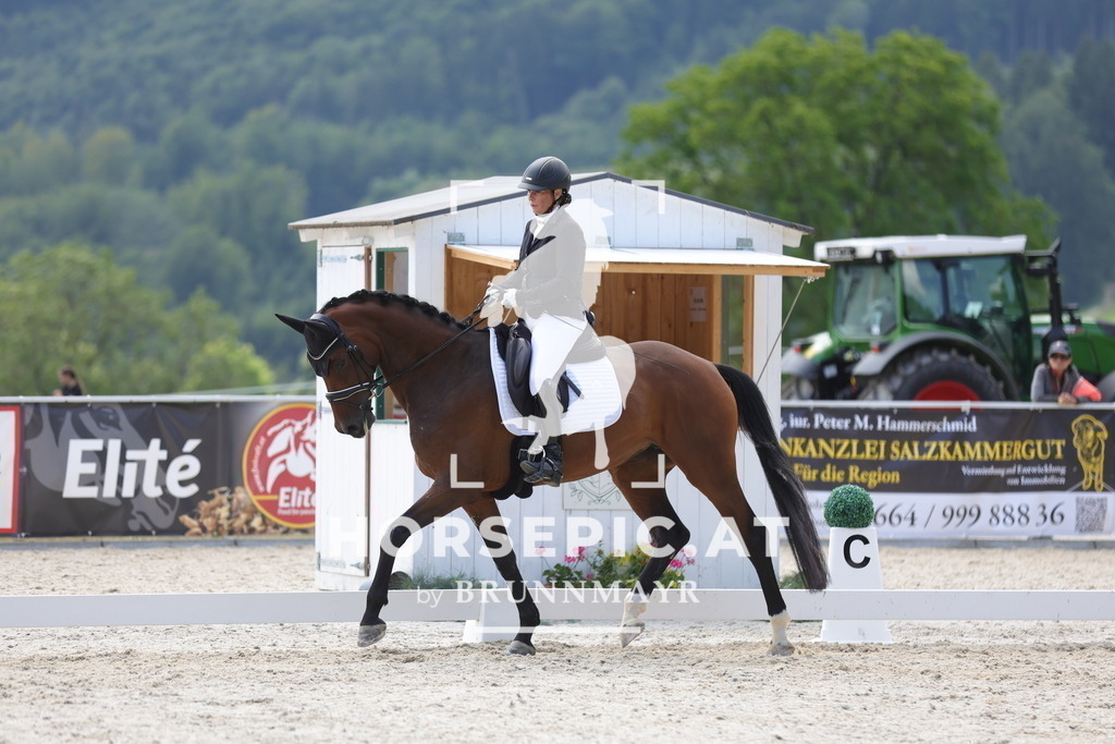0P6A0681 | Willkommen bei Brunnmayr - Design & Fotografie – Ihrem Spezialisten für Reitturniere und Pferdeveranstaltungen in Oberösterreich, Salzburg und Bayern! Seit über 17 Jahren sind wir leidenschaftlich dabei.