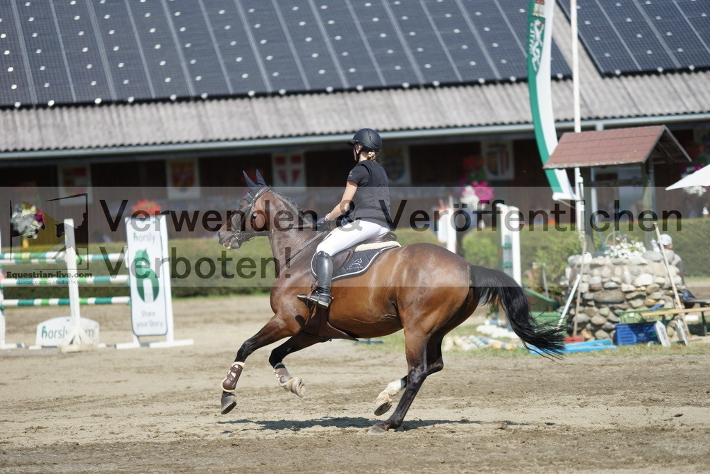 DSC01601 | equestrian-live-com