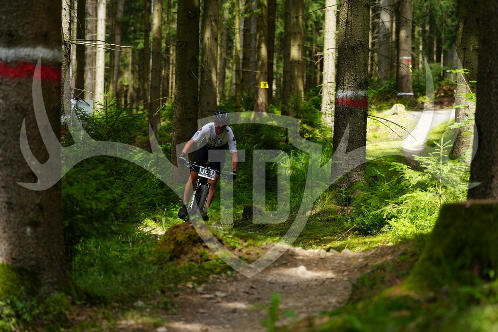 FC100217 | Fotogalerie der Treibjagd im Dunkelwald - Dein MTB Etappenrennen im Erzgebirge - Realisiert mit Pictrs.com