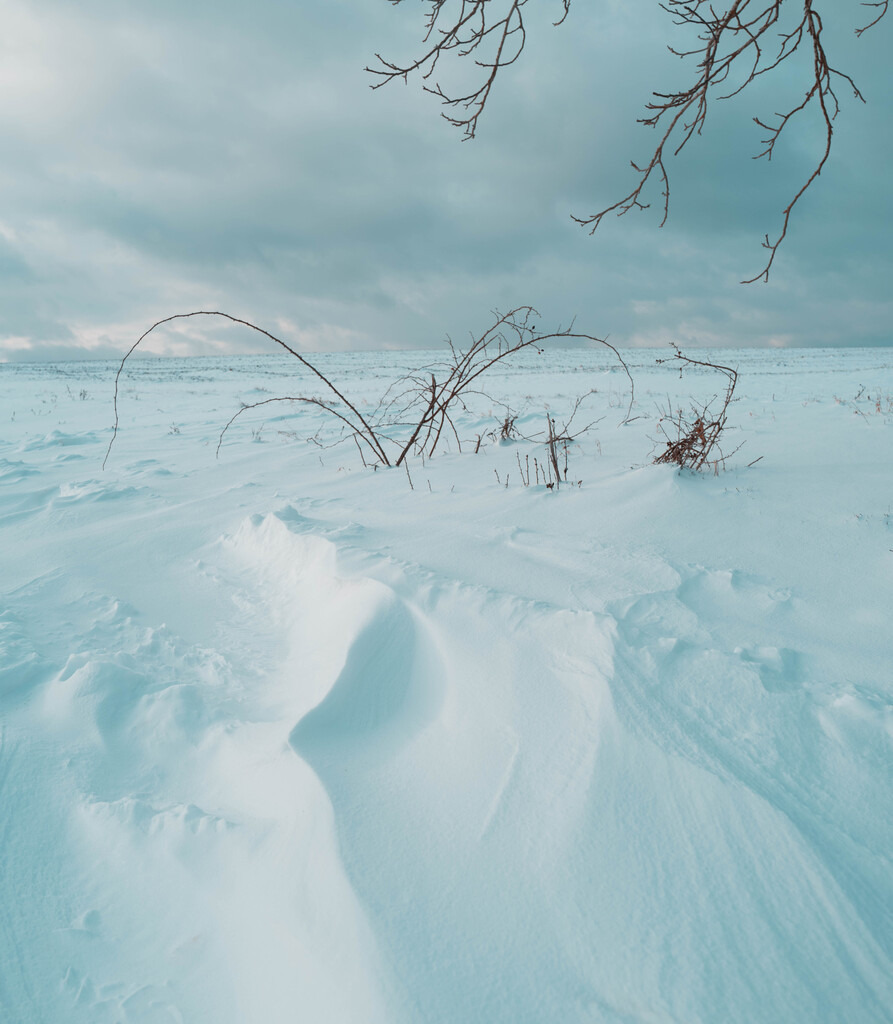 nach dem Sturm | Buchen Sie ein Fotoshooting in Würzburg oder Umgebung bequem online in meinen Webshop.