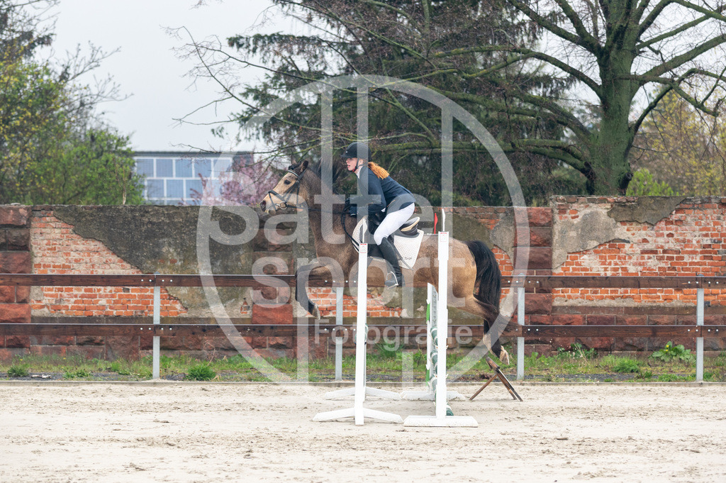 DSC_8809 | sattelsport - Realisiert mit Pictrs.com