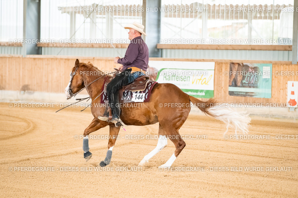 DSC01501 | Pferdegrafie