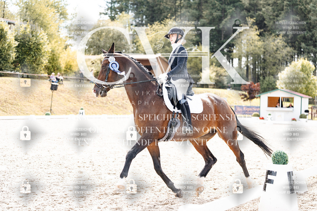 CK900963 | Turnierfotografie Pferdefotografie Trier Rheinland-Pfalz Pferdesport Reitsport Tierfotografie Sportfotografie Pferdevideo Pferdevideografie Equestrianvideography equestrianphotography  - Realisiert mit Pictrs.com