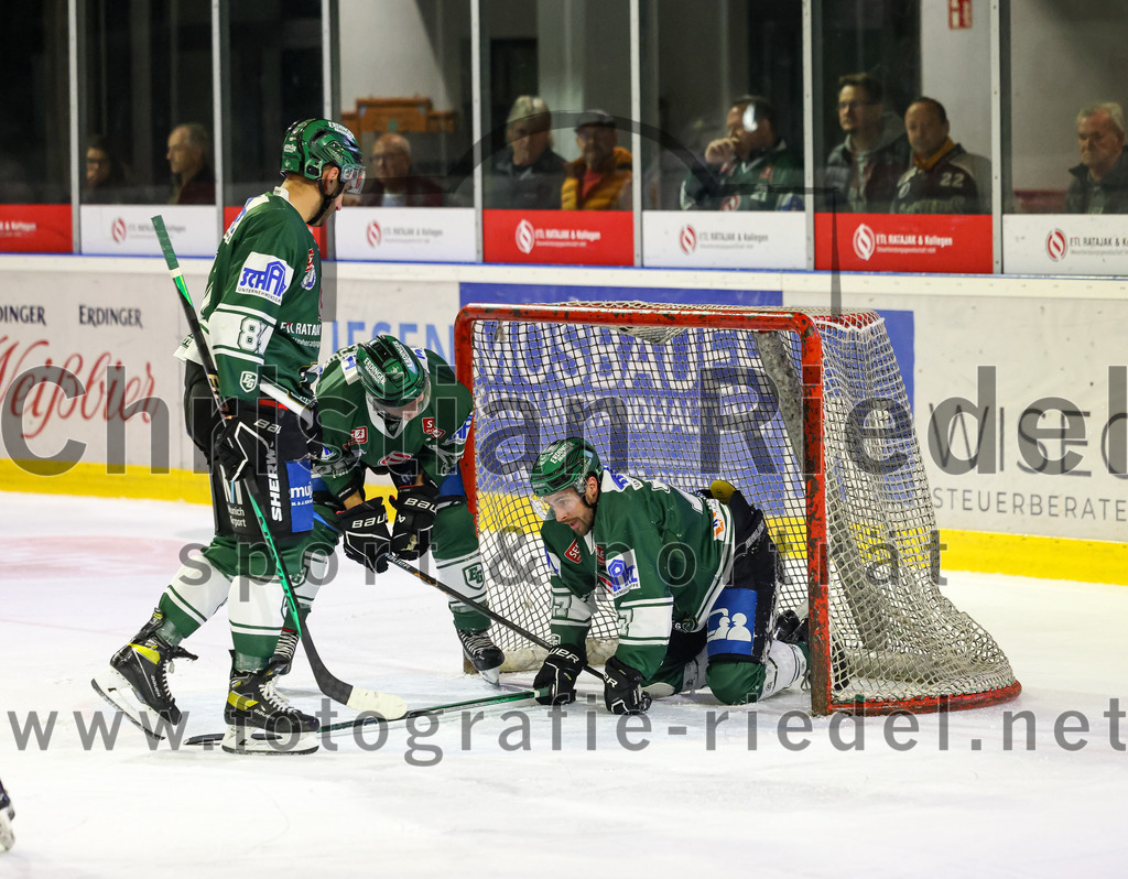 2023-10-29_113_TSV_Erding_gegen_TSV_Peissenberg | Erding, Deutschland, 29.10.2023:
Eishockey, Bayernliga Vorrunde 2023 / 2024, 5. Spieltag, TSV Erding gegen TSV Peißenberg, Endergebnis: 

Maximilian Forster (Erding Gladiators, #81), Philipp Michl (Erding Gladiators, #77)

Foto: Christian Riedel / fotografie-riedel.net