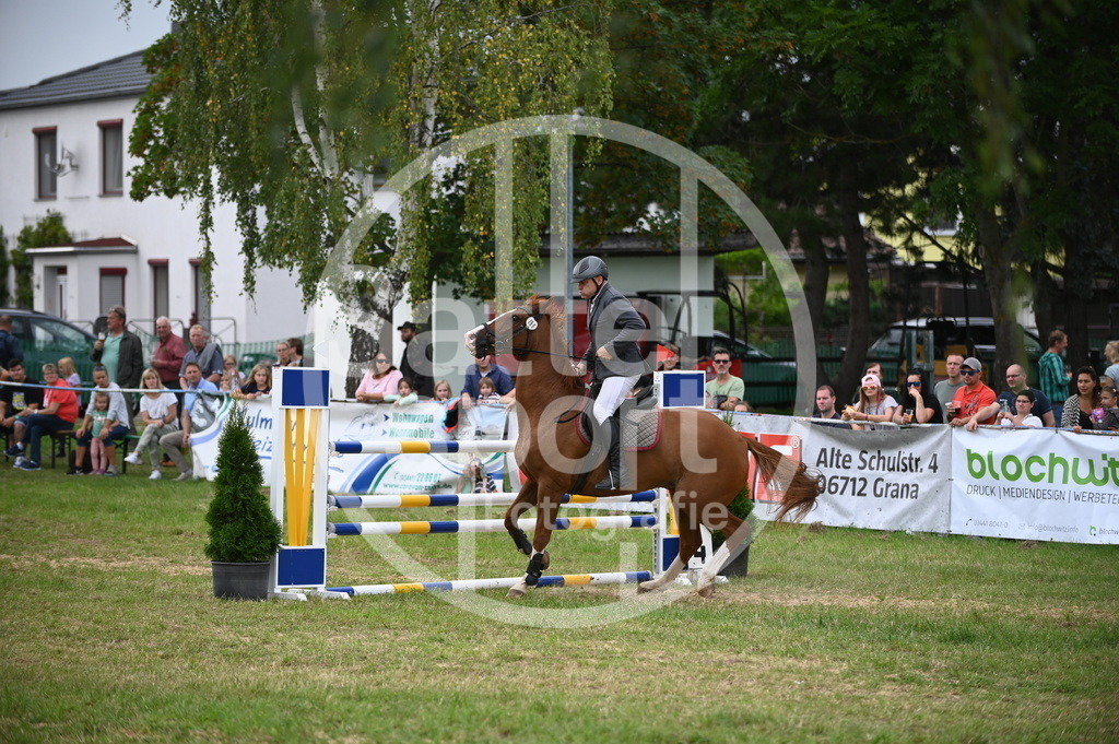 DSC_7991 | sattelsport - Realisiert mit Pictrs.com