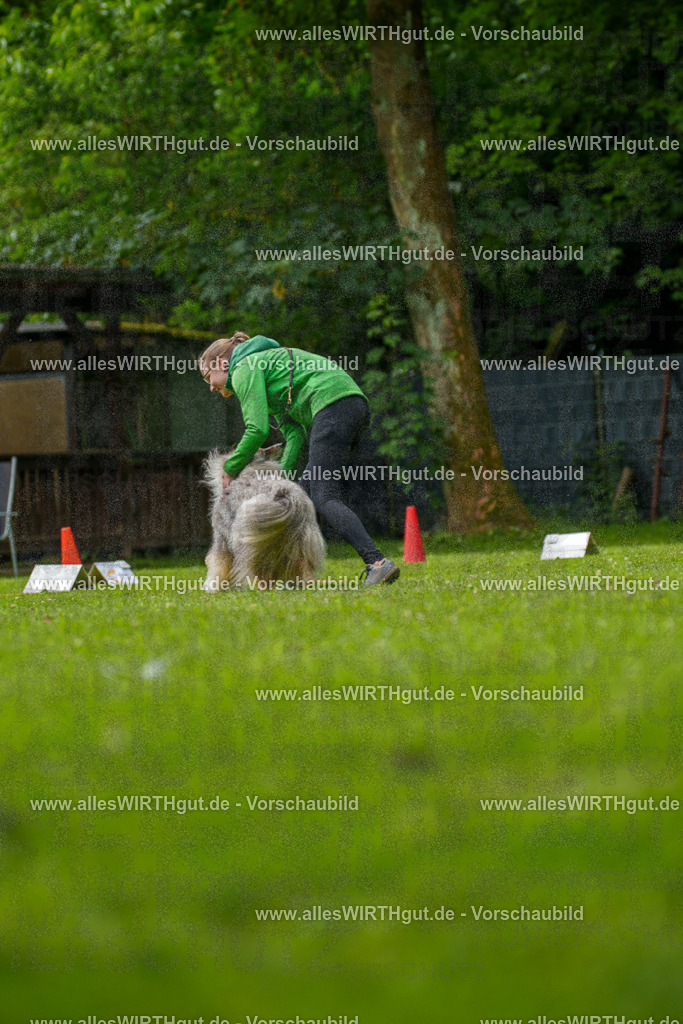 @allesWIRTHgut_Tierfotografie - www.allesWIRTHgut.de - 083450-7R506387 | Professionelle Tierfotografie in Mönchengladbach von Daniel Wirth (allesWIRTHgut). Liebevolle & natürliche Bilder von Hunden & Katzen für unvergessliche Erinnerungen.