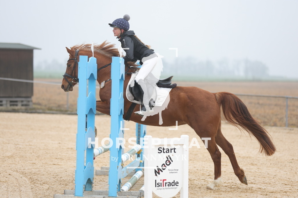 0P6A8235 | Willkommen bei Brunnmayr - Design & Fotografie – Ihrem Spezialisten für Reitturniere und Pferdeveranstaltungen in Oberösterreich, Salzburg und Bayern! Seit über 17 Jahren sind wir leidenschaftlich dabei.