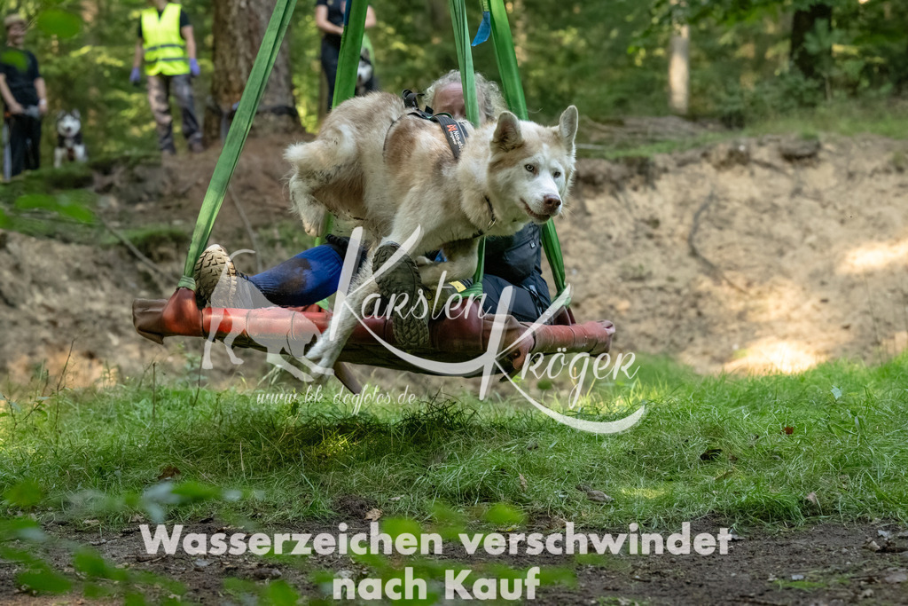 1446_ZZ90816-Bearbeitet-2 | kk-dogfotos