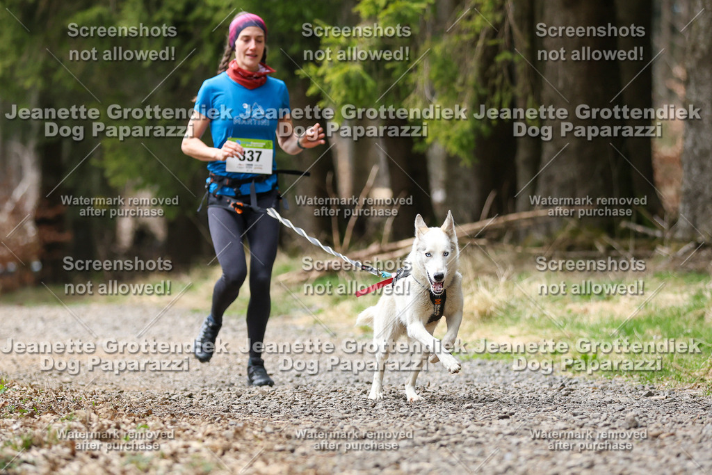Dog Paparazzi - VCC26-497 | Dog Paparazzi Jeanette Grottendiek Fotografie & Videografie - Realisiert mit Pictrs.com
