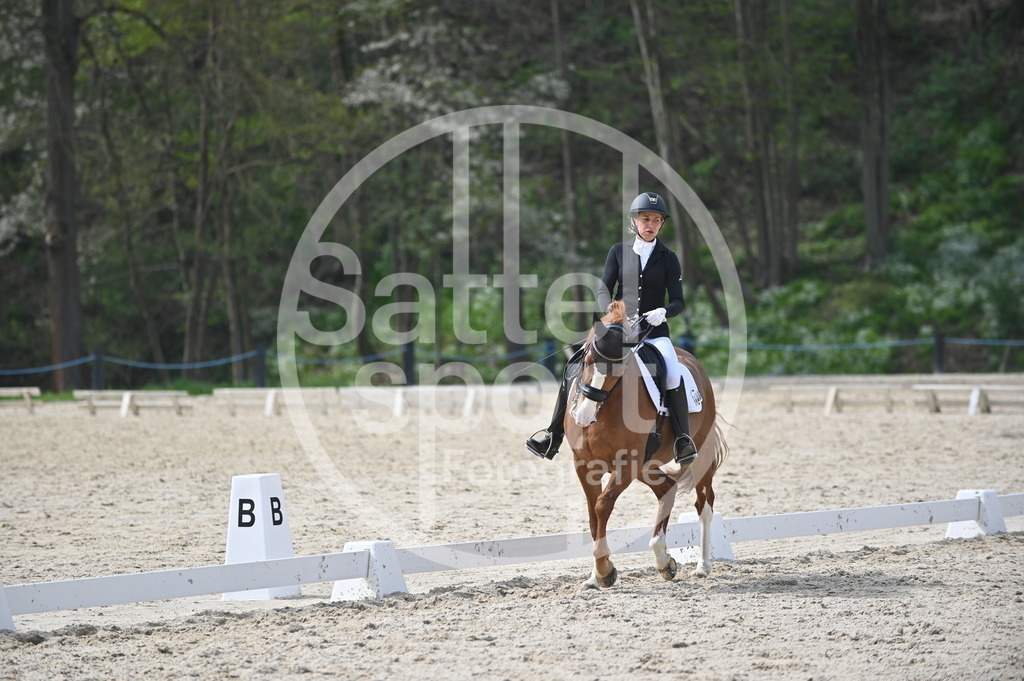 DSC_4607 | sattelsport - Realisiert mit Pictrs.com