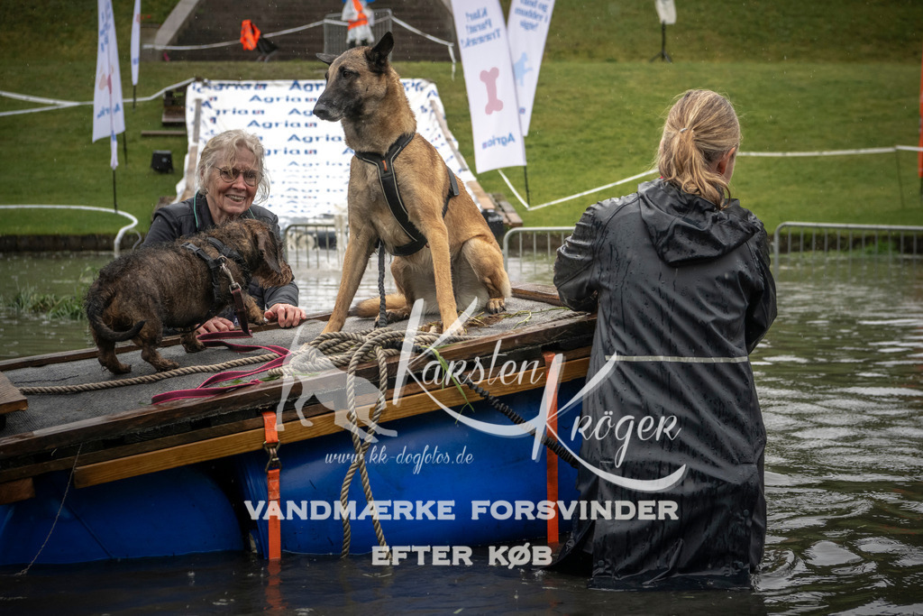 1559_ZZ96332-2 | kk-dogfotos