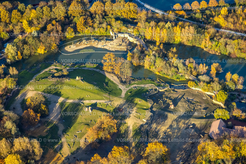 Gelsenkirchen251103244 | Luftbild, Zoom Erlebnis Welt Zoo, Afrika Bereich, Fluss mit Insel für Anubispaviane, herbstliche Bäume, Bismarck, Gelsenkirchen, Ruhrgebiet, Nordrhein-Westfalen, Deutschland