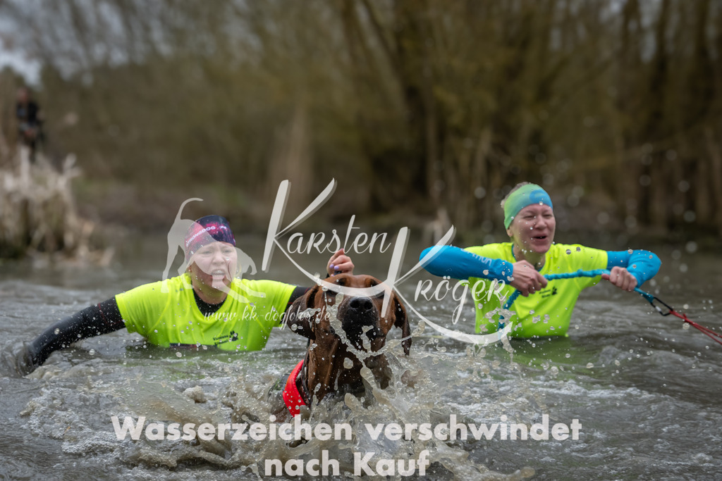 1051_ZZ92936 | kk-dogfotos