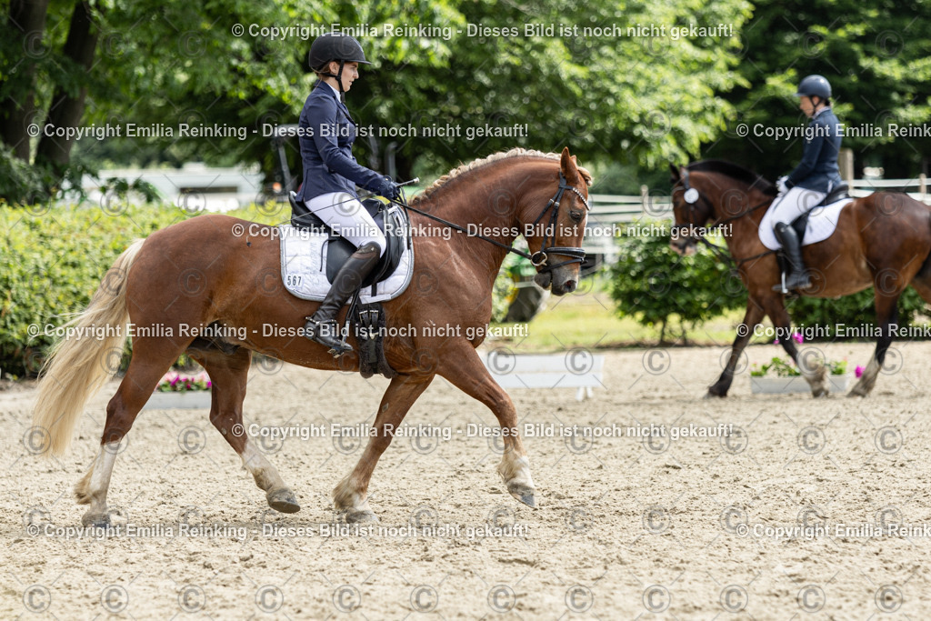 CL5A7793 | Emilia Reinking Fotografie - Realisiert mit Pictrs.com