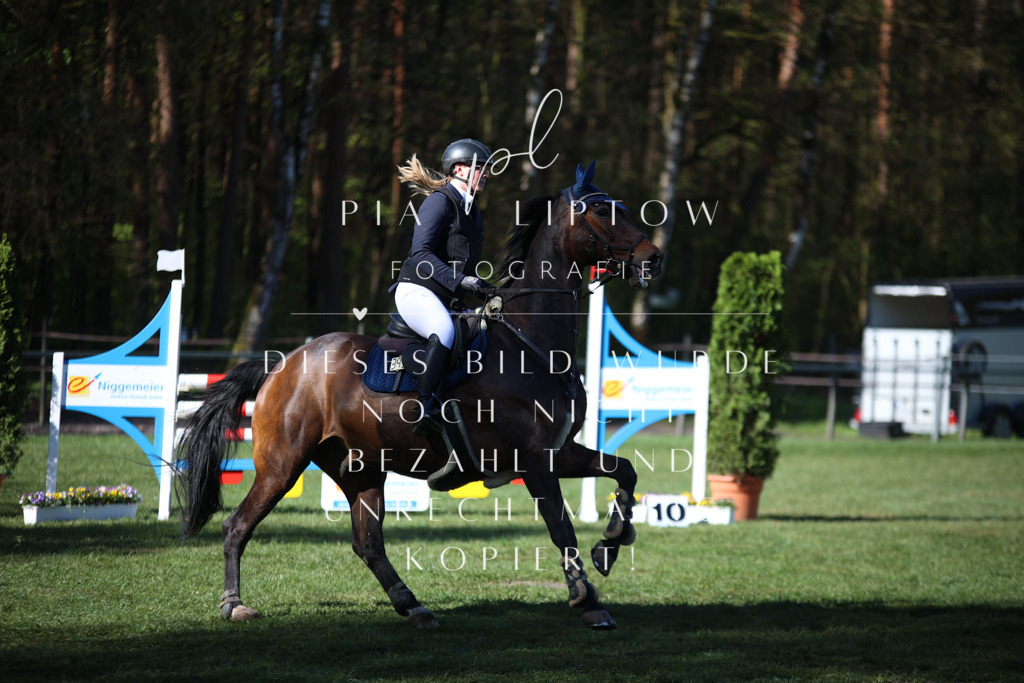 IMGT0118 | pl-fotografie